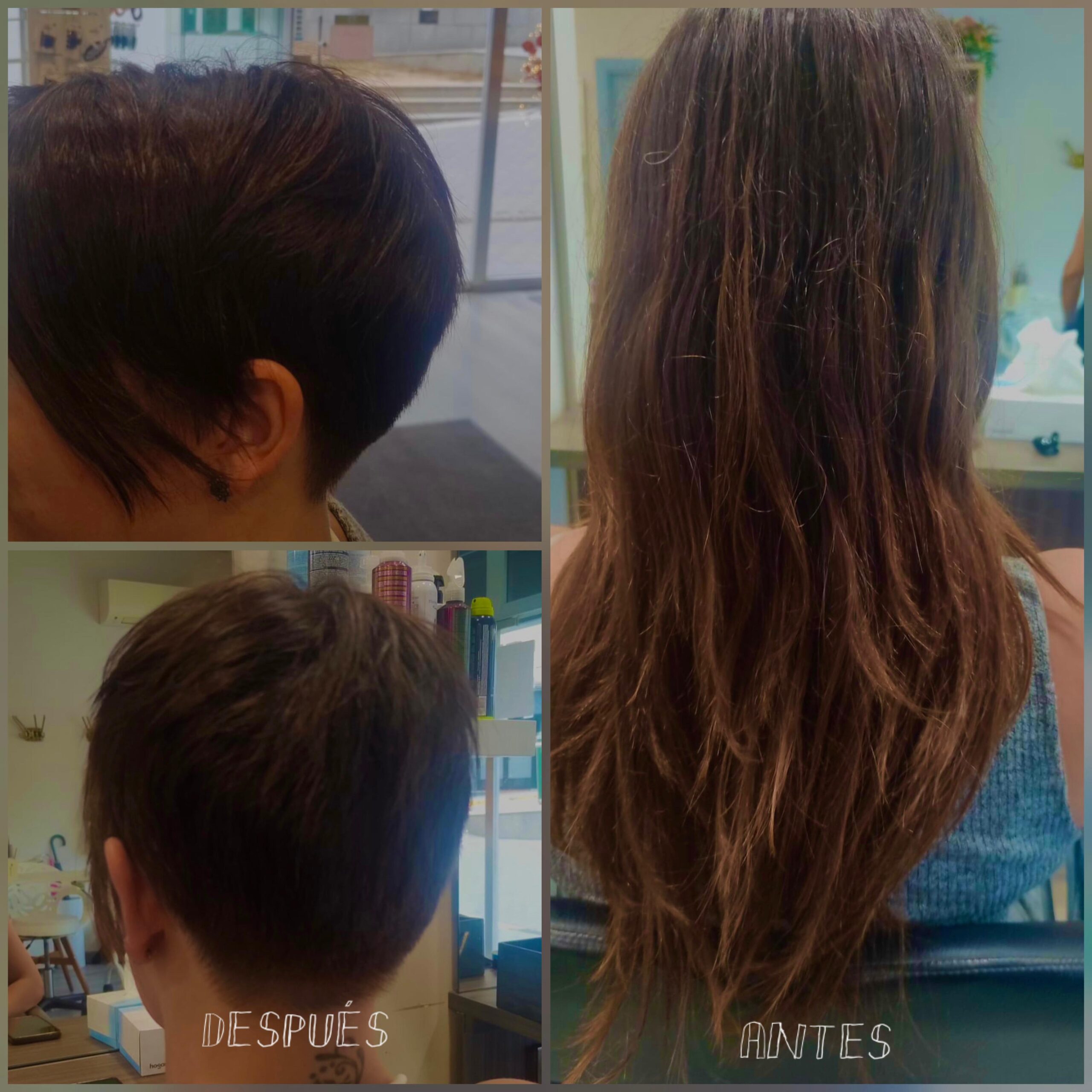 cambio de look con corte